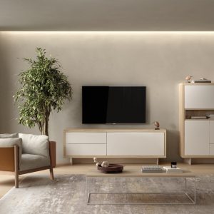mueble de salón adn 19