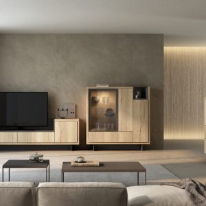 Mueble de salón ADN 02