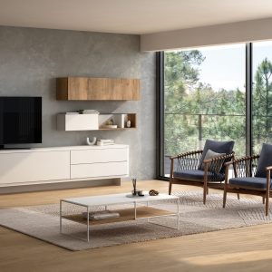 mueble de salón adn 21