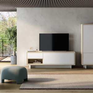 mueble de salón adn 22