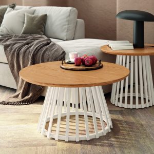 MESA CENTRAL BOG.SAHARA