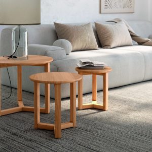 MESA CENTRAL BOG.FEROE