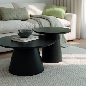 MESA CENTRAL BOG.NAMIB