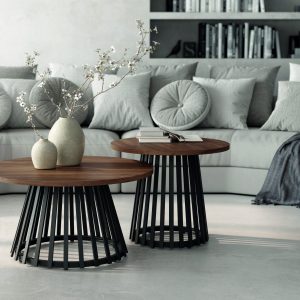 MESA CENTRAL BOG.DELTA