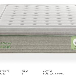 Colchón Dublín latex