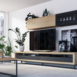 MUEBLE DE SALON 43 PIÑERO Y CABRERO
